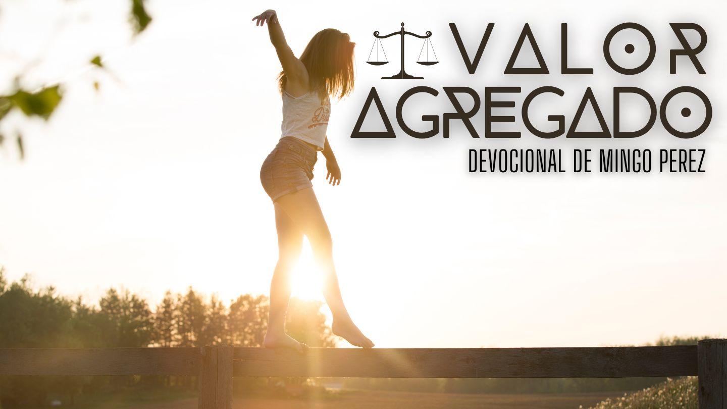 Valor Agregado