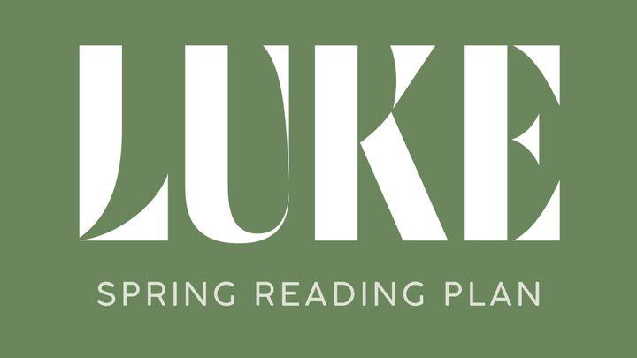 Real Conversations (Luke 8-10)