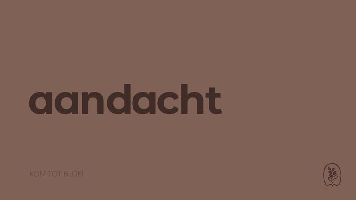 DagelijkseBroodkruimels - Aandacht