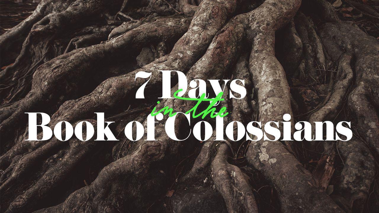 7 Days in the Book of Colossians