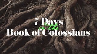 7 Days in the Book of Colossians