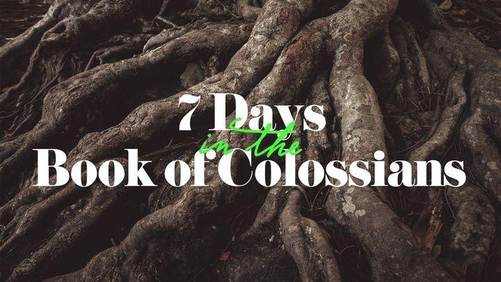 7 Days in the Book of Colossians