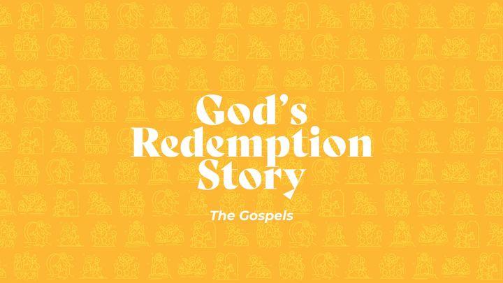 God's Redemption Story (The Gospels)