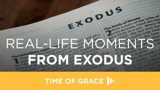 Real-Life Moments From Exodus Exodus 36:6-7 New Living Translation