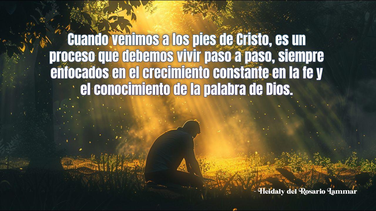 Nacer De Nuevo, Crecer Constante