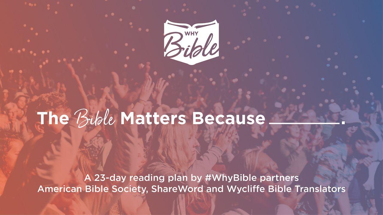 The Bible Matters Because _______________. 