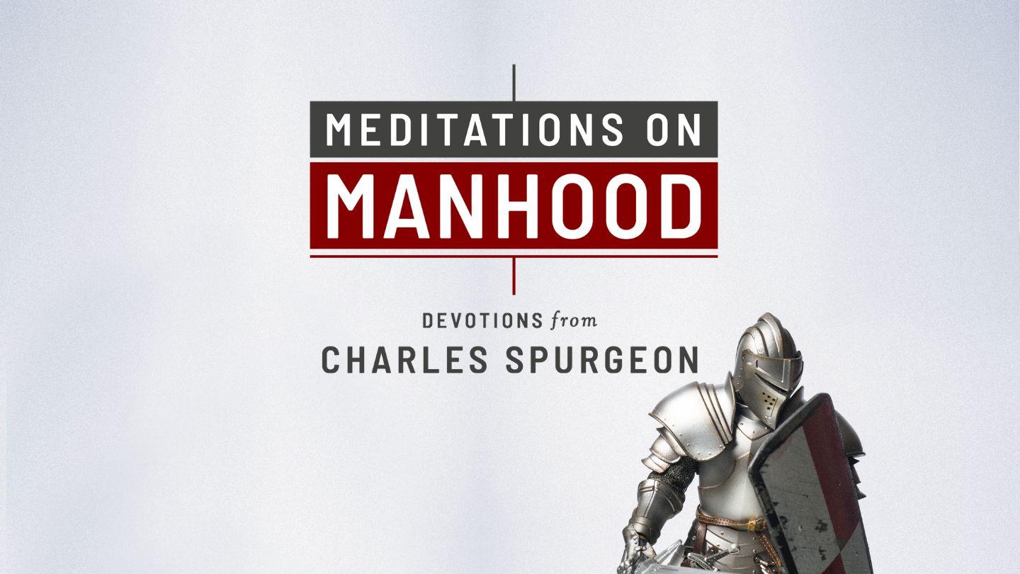 Meditations on Manhood 2 Timothy 2:3-10 English Standard Version Revision 2016