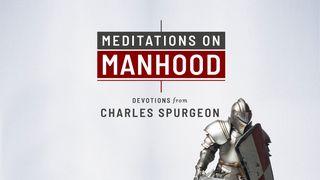 Meditations on Manhood Job 14:1-17 The Message