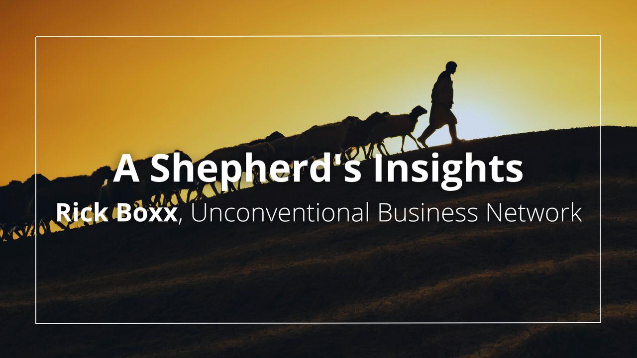 A Shepherd's Insights