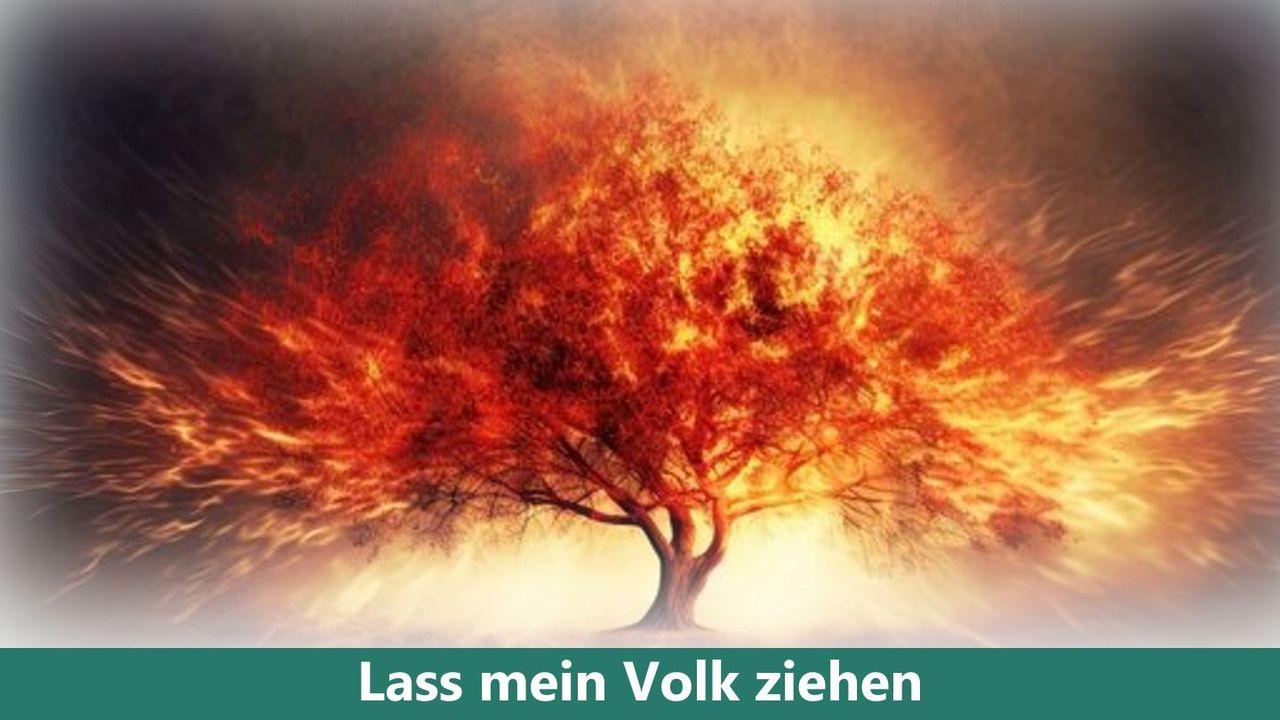 Lass Mein Volk ziehen