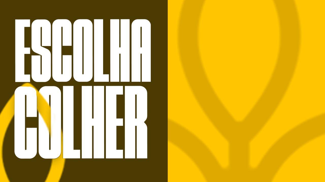 Escolha Colher