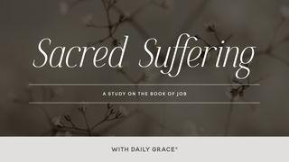 Sacred Suffering - a Study on the Book of Job Job 2:7-9 King James Version