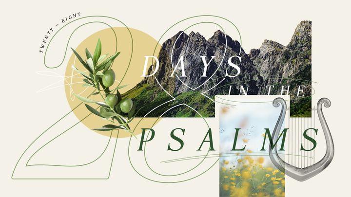 28 Days in the Psalms
