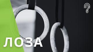 Лоза От Иоанна 13:16-38 Новый русский перевод