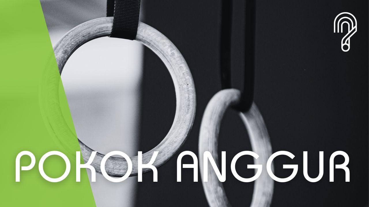 Pokok Anggur