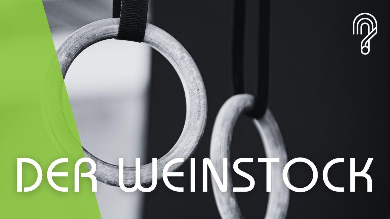 Der Weinstock