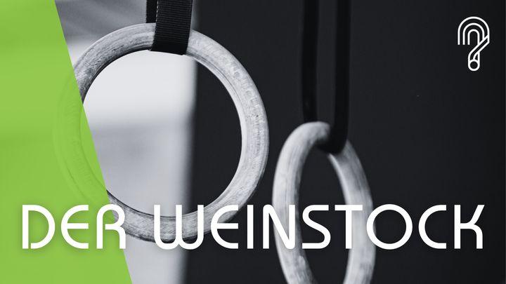 Der Weinstock