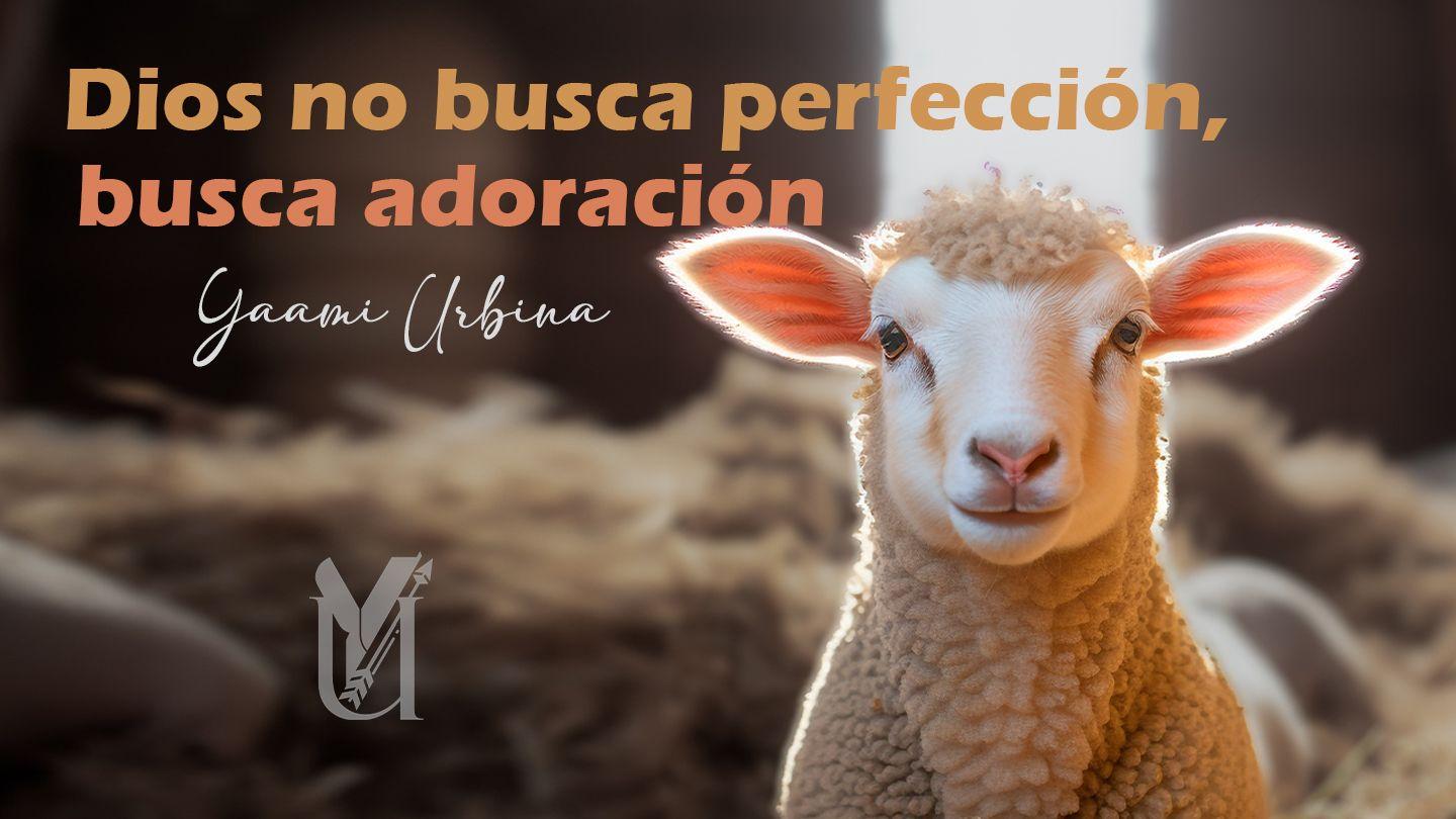 Dios no busca perfección, busca adoración. 2 Samuel 6:6-7 Nueva Traducción Viviente