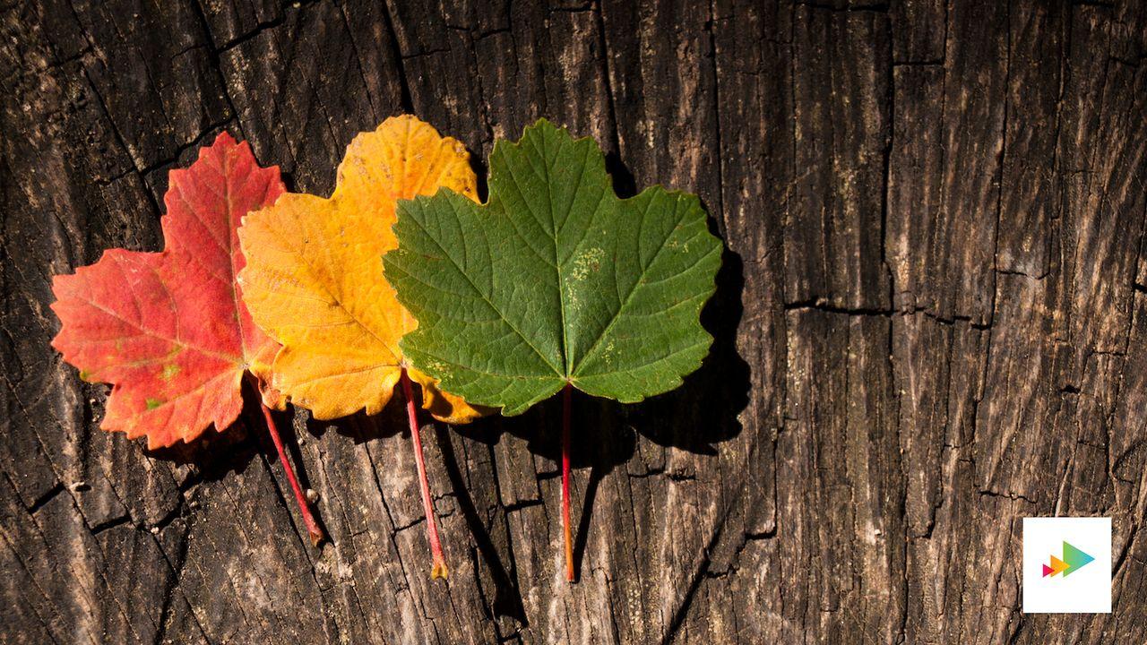 Mentoring Lessons- Leadership Transition