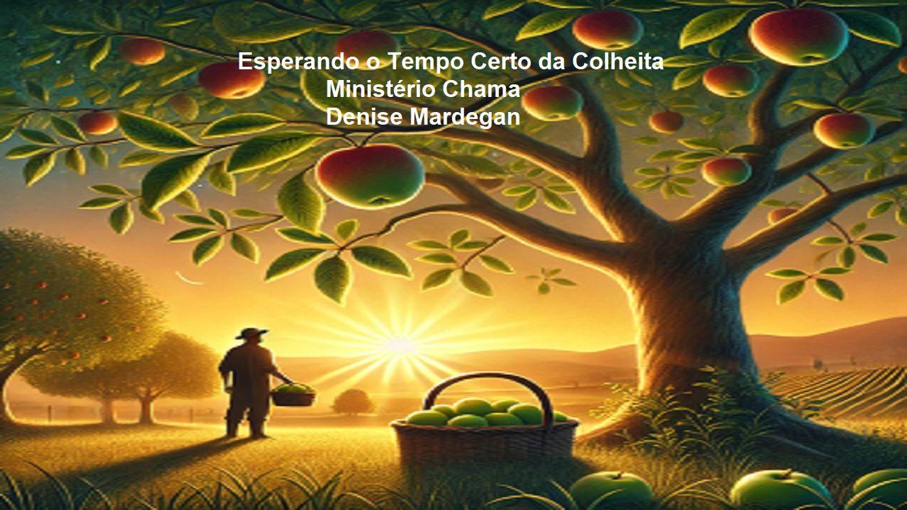 Esperando o Tempo Certo da Colheita