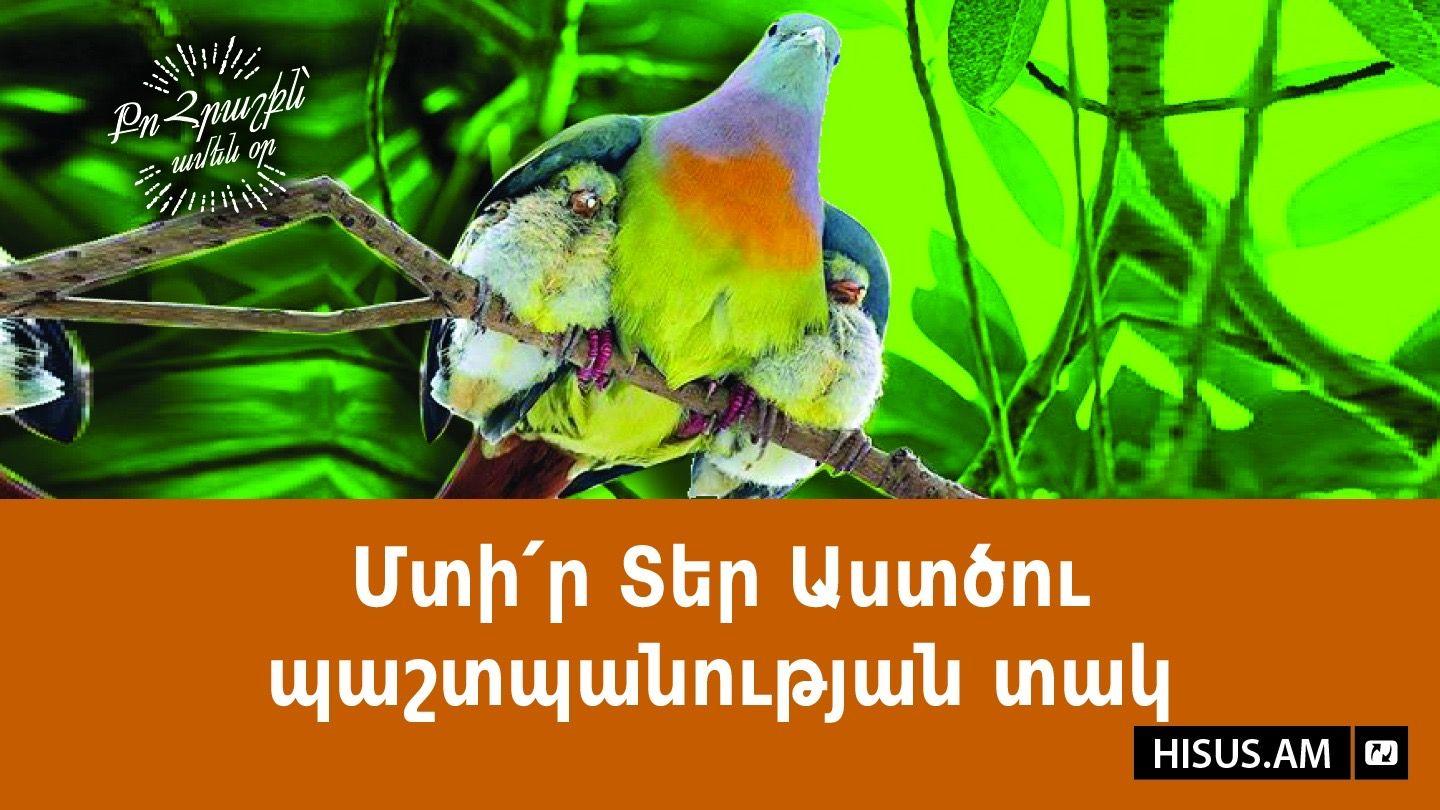 Մտի՛ր Տեր Աստծու պաշտպանության տակ Ա ԹԱԳԱՎՈՐՆԵՐԻ 2:30 Նոր վերանայված Արարատ Աստվածաշունչ