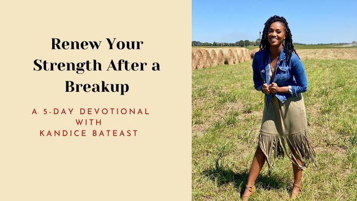 Renew Your Strength After a Breakup