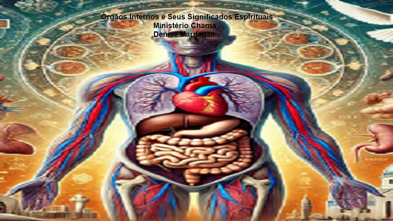 Órgãos Internos e seus Significados Espirituais