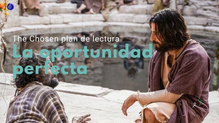 La oportunidad perfecta (S2-E4)
