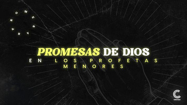 Promesas de Dios en los Profetas Menores