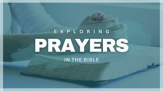Exploring Prayers in the Bible Daniel 9:8-9 New American Standard Bible - NASB 1995