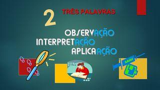 B) 3 PALAVRAS - OBSERVAÇÃO, INTERPRETAÇÃO E APLICAÇÃO João 5:39 Almeida Revista e Atualizada