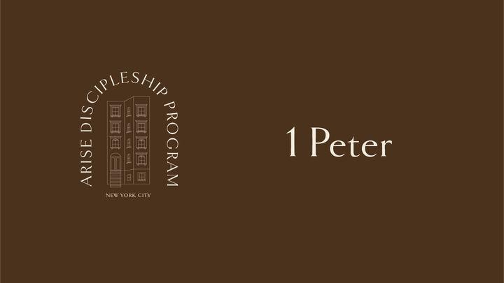 The Book of 1 Peter - ARISE
