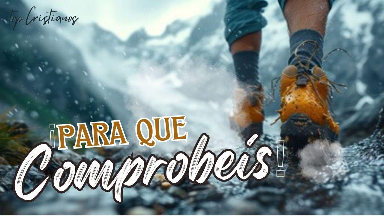 ¡Para Que Comprobéis!