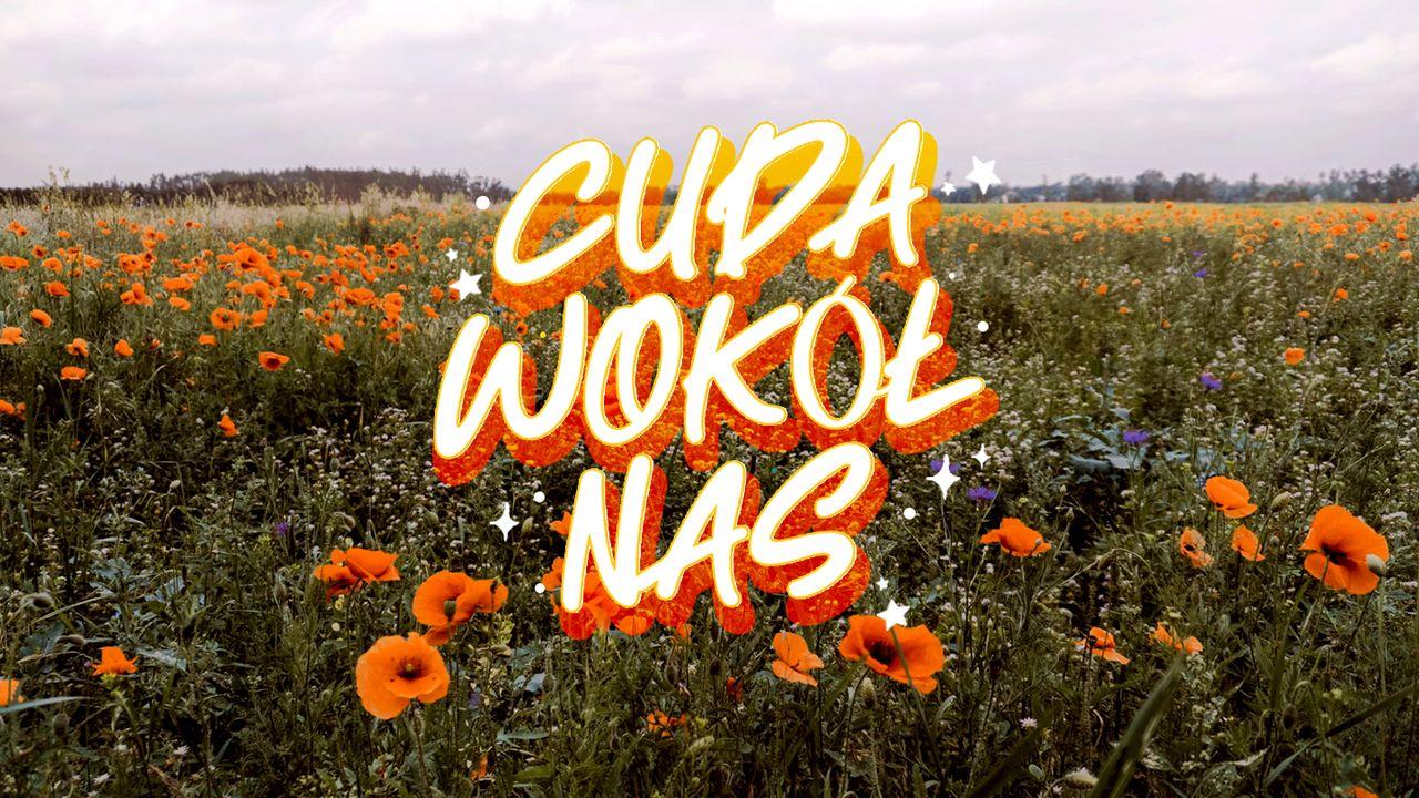 Cuda wokół nas