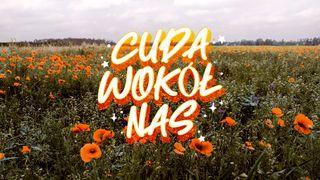 Cuda wokół nas Mateo 7:7 Kaqchikel, Santo Domingo (Xenacoj)