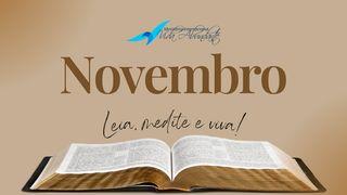 Plano De Leitura Mensal Vida Abundante (Novembro)