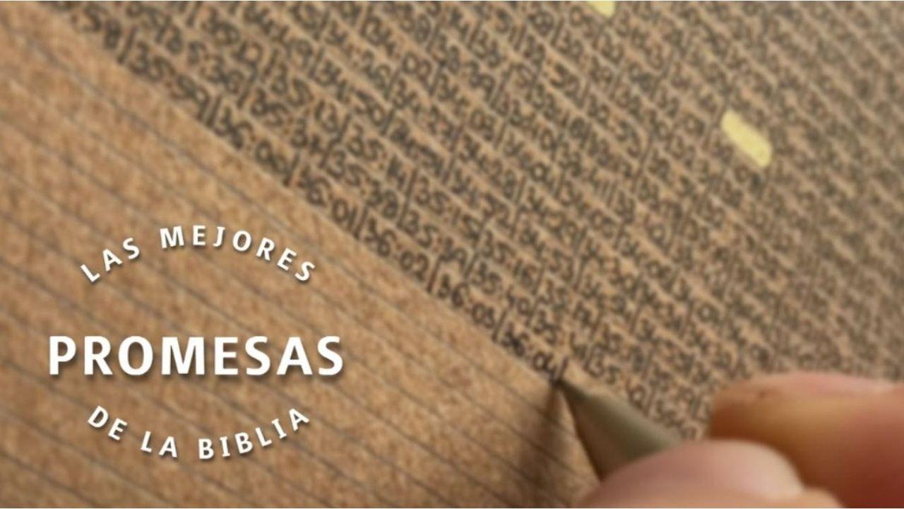 Las Mejores Promesas De Dios