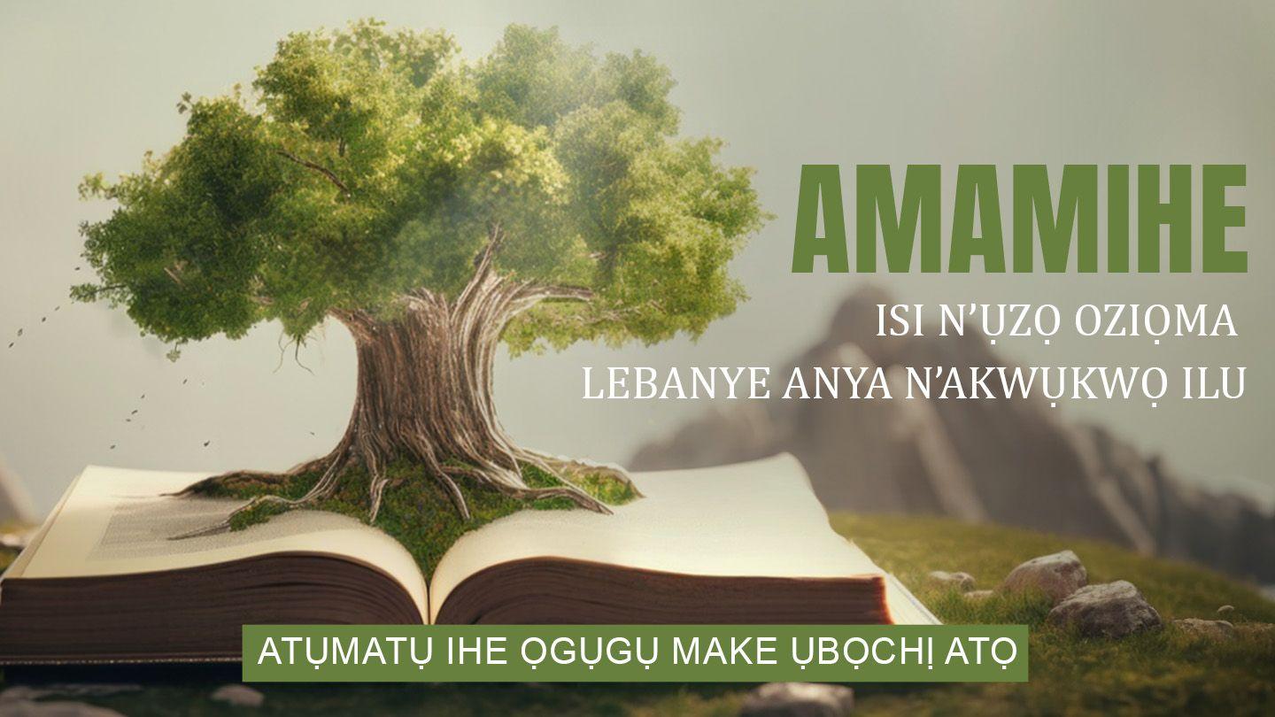 Amamihe