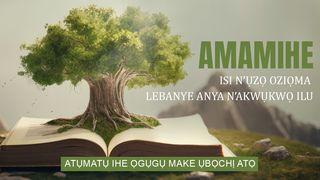 Amamihe