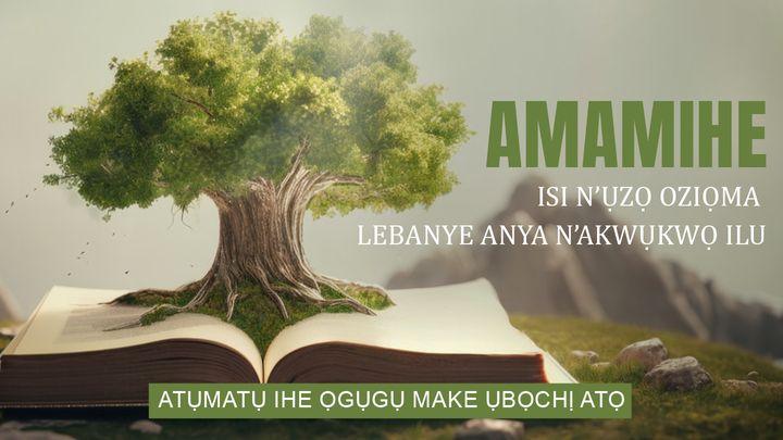 Amamihe