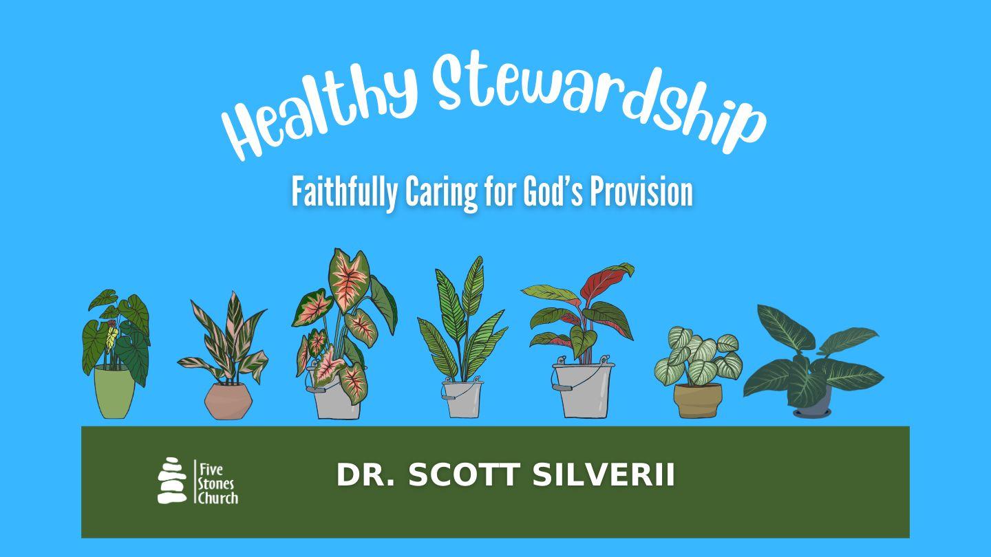 Healthy Stewardship: Faithfully Caring for God's Provisions Romans 2:10-11 King James Version