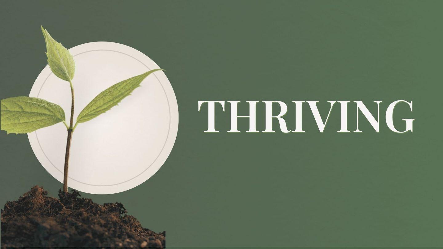 Thriving: Reflecting on John 15:1-17