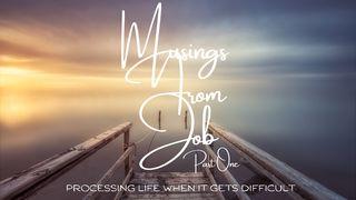 Musings From Job Pt.1 Job 2:7-9 King James Version