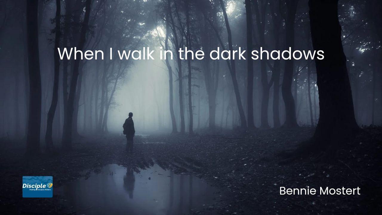 When I Walk in the Dark Shadows