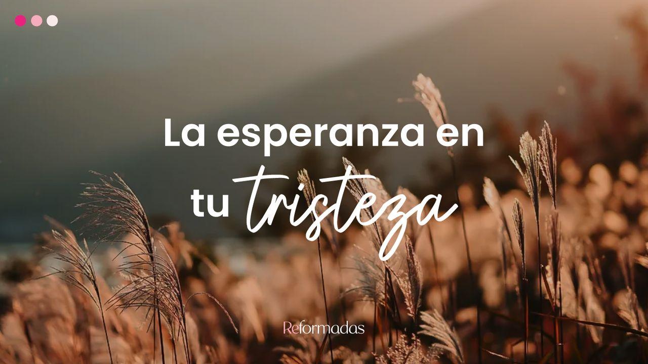 La Esperanza en Tu Tristeza