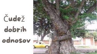 Čudež Dobrih Odnosov Ageini 2:18 Baibuli I Leb Kumam 2013