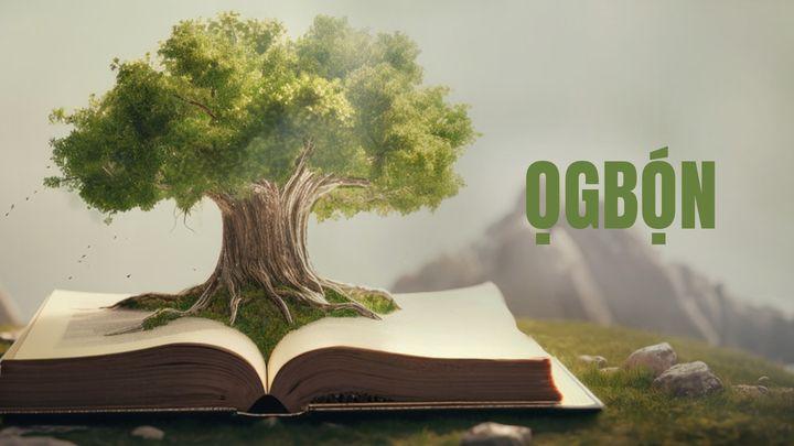 ỌGBỌ́N