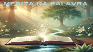 Medita Na Palavra Salmos 119:105-106 Nova Bíblia Viva Português