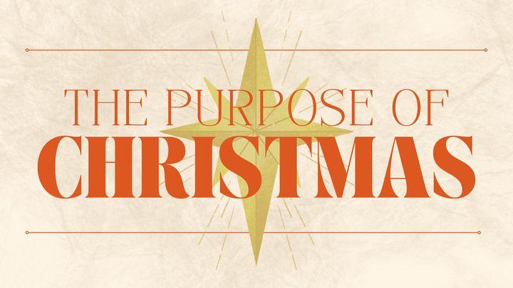 The Purpose of Christmas