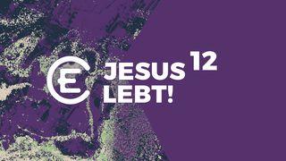 12 x Jesus lebt
